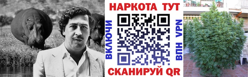 Что такое Петушки Каннабис  A-PVP  Меф  АМФ  COCAIN 